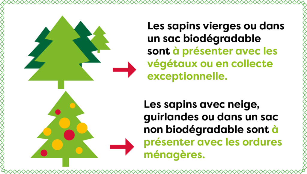 Recyclage des arbres de Noël : le sac à sapin compostable, un